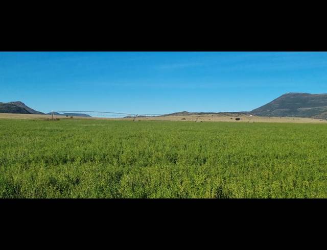 FARM FOR SALE IN QUEENSTOWN RURAL